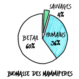 Data et Business Intelligence